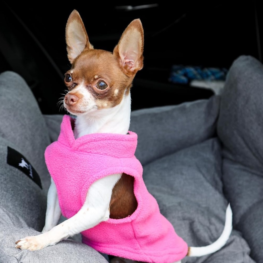 Jacko & Co Fleece Sweater Vest with Leash Ring on Back in Pink Size M 6-10lbs
